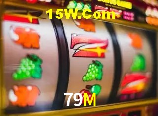 Sistemas de Segurança 79M